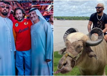 UFC Abu Dhabi