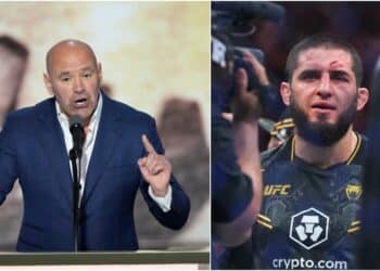 Dana White