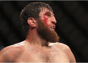 Magomed Ankalaev