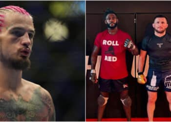 MMA News - Omslagsbild-MMAnytt-1000x547-3-29