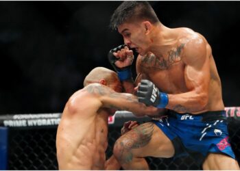 Mario Bautista till Conor McGregor - _HALL KAFTEN