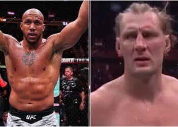 UFC 310