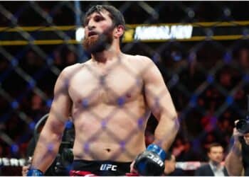 MMA News - Magomed-Ankalaev-har-redan-accepterat-en-ny-match