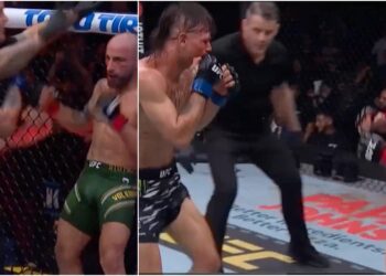 UFC 314: Alexander Volkanovski