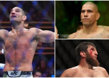 Alex Pereira, Sean Strickland och Magomed Ankalaev