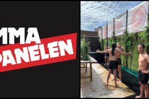 MMA-Panelen Arthur Cheng
