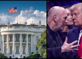 UFC White House