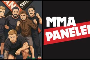MMApanelen