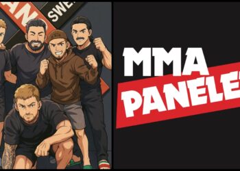 MMApanelen