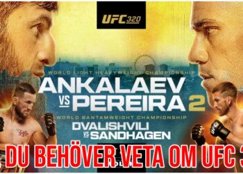 UFC 320