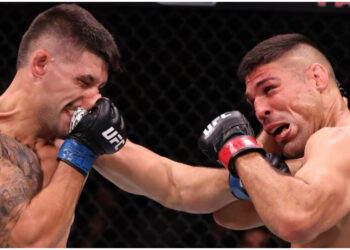 MÄRKLIGA SCENER PÅ UFC RIO - Domaren stoppar matchen?