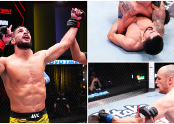 UFC Fight Night: Bonfim vs Brown - Fullständiga resultat