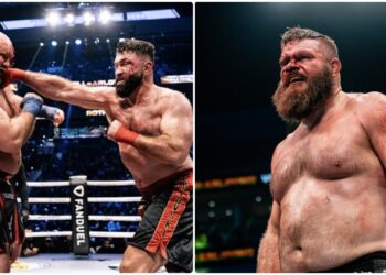 arlovski rottwell bkfc knucklemania fight