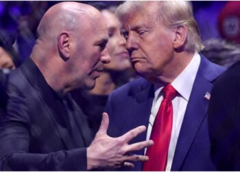 Dana White talar pa presskonferens om UFC White House card
