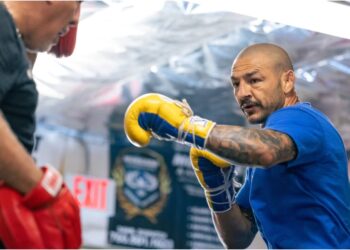 Cub Swanson i UFC fjadervikt match