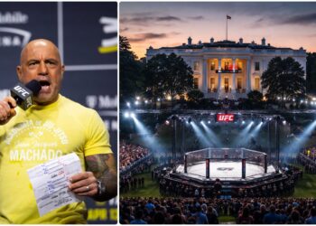 joe rogan ufc kommentar podcast