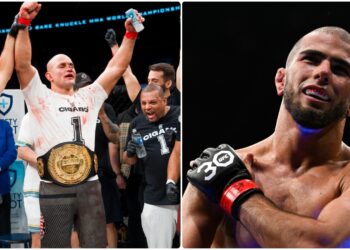 junior dos santos mma fight cage