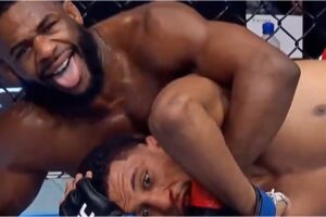 aljamain sterling fight ufc bur