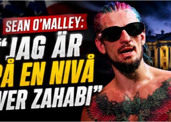 sean omalley under intervju inför ufc white house