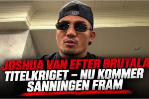 Joshua Van i UFC-oktagonen