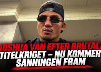 Joshua Van i UFC-oktagonen