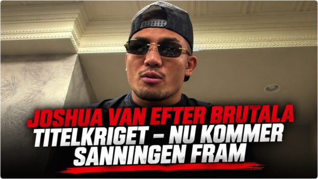 Joshua Van i UFC-oktagonen