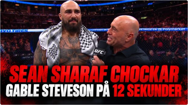 Sean Sharaf och Gable Steveson i UFC 331