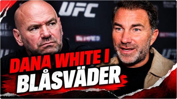 Dana White under en UFC-presskonferens